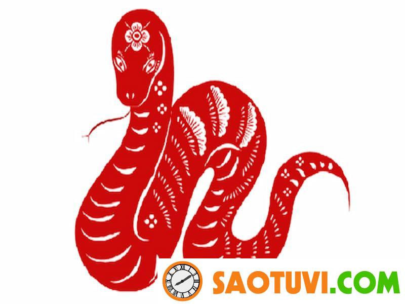 Gợi ý cách chọn nghề hợp tuổi cực chuẩn xác cho 12 con giáp ty 2