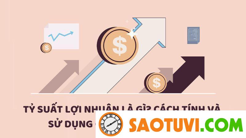 Tỷ suất lợi nhuận là gì? Cách tính và sử dụng chỉ số này hiệu quả