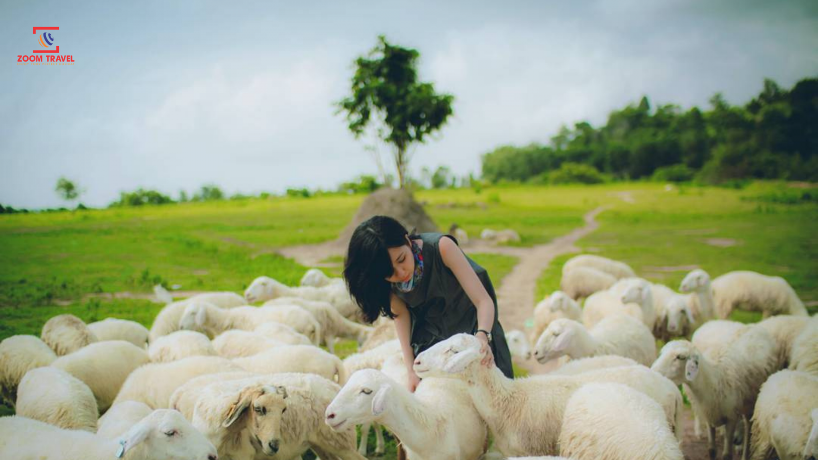 Cảnh đẹp Châu Âu ngay Đồi cừu Vũng Tàu