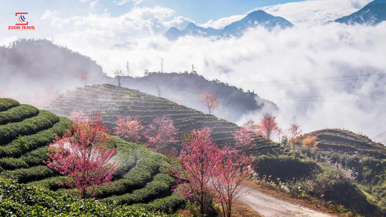 4 THÔNG TIN HỮU ÍCH CẦN NẮM NẾU BẠN ĐANG DỰ ĐỊNH DU LỊCH SAPA TỰ TÚC