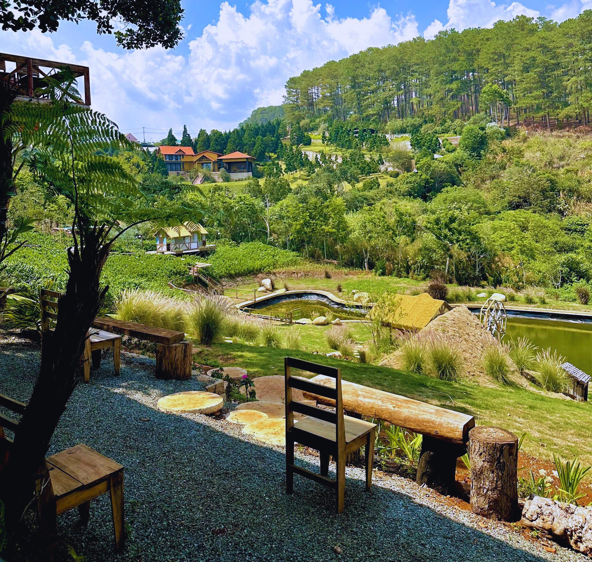 updlblv Trải nghiệm điều thú vị tại Donki Land