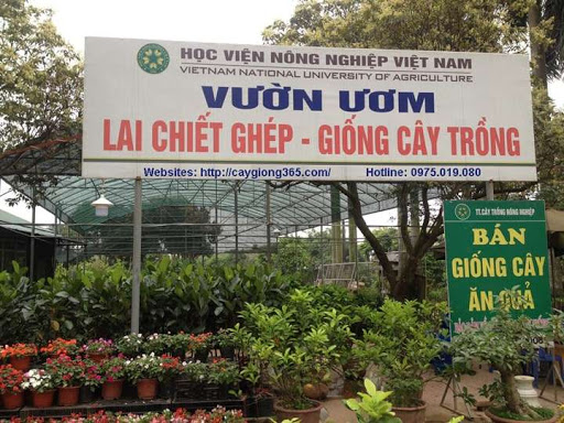 vat-tu-nong-nghiep-1-1 hạt giống cây