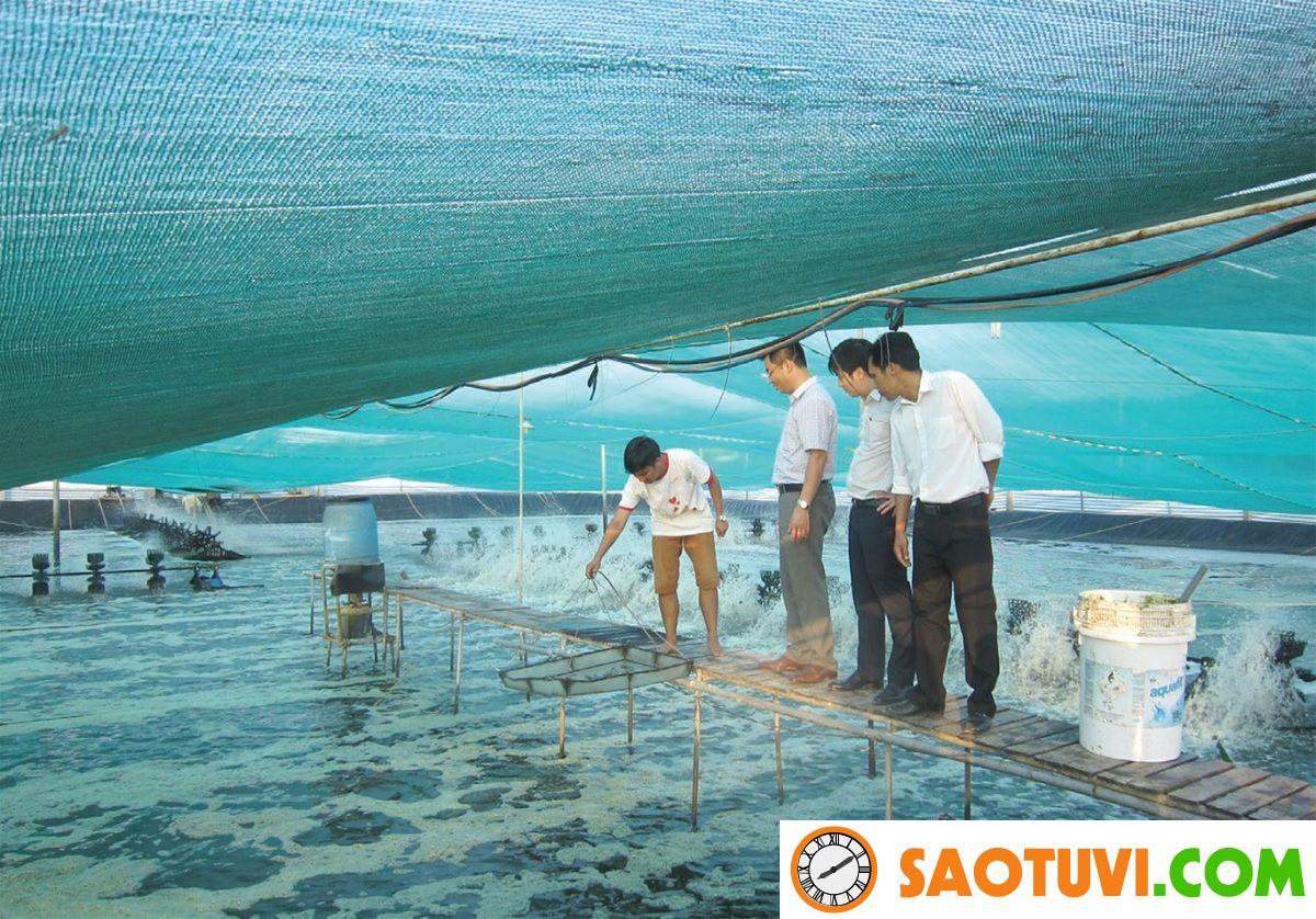 Việc làm thủy sản và 3 cơ hội nghề nghiệp hấp dẫn nhất! Việc làm thủy sản