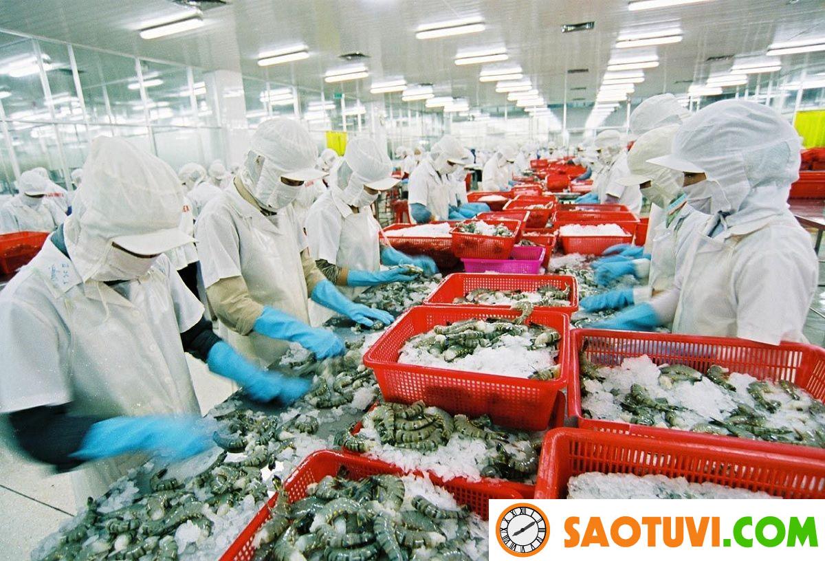 Việc làm thủy sản và 3 cơ hội nghề nghiệp hấp dẫn nhất! Việc làm thủy sản