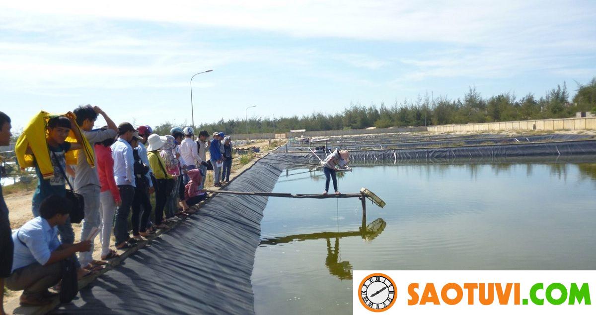 Việc làm thủy sản và 3 cơ hội nghề nghiệp hấp dẫn nhất! Việc làm thủy sản