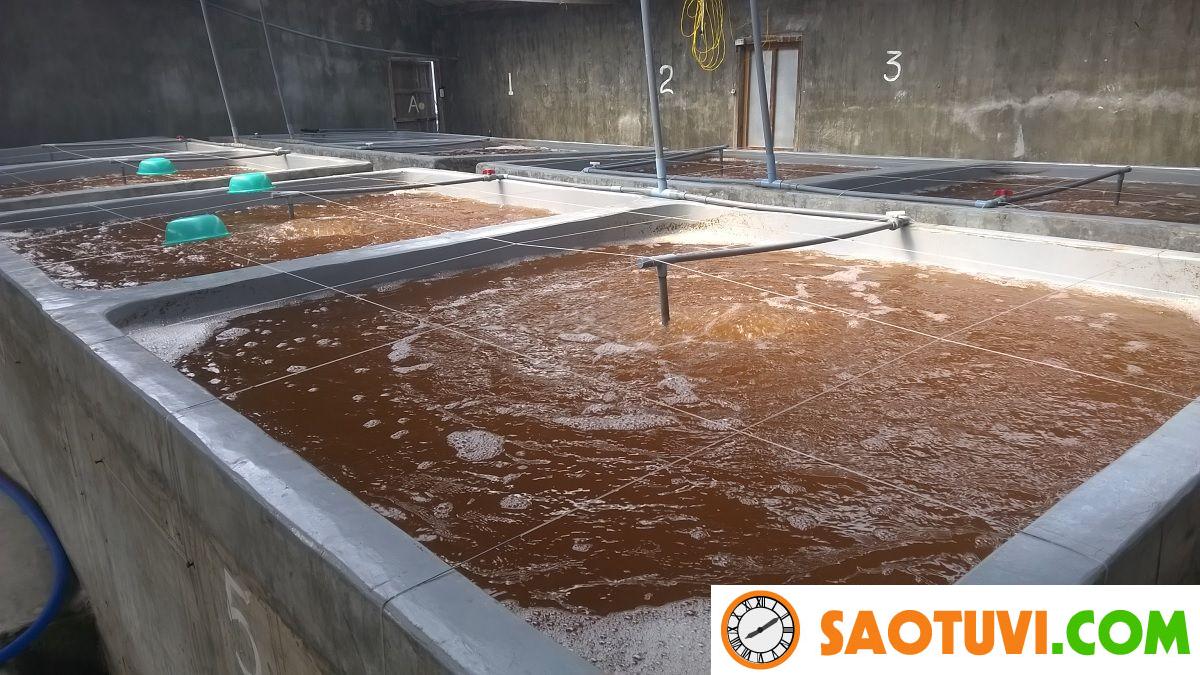 Việc làm thủy sản và 3 cơ hội nghề nghiệp hấp dẫn nhất! Bạn có thể làm việc tại các viện hoặc các trung tâm nghiên cứu về thủy hải sản.