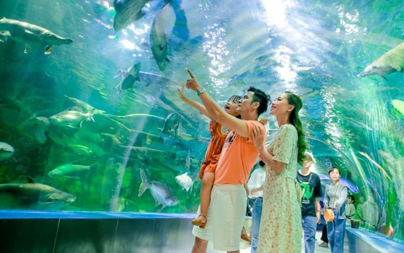 vien-hai-duong-hoc-_ia-diem-du-lich-nha-trang