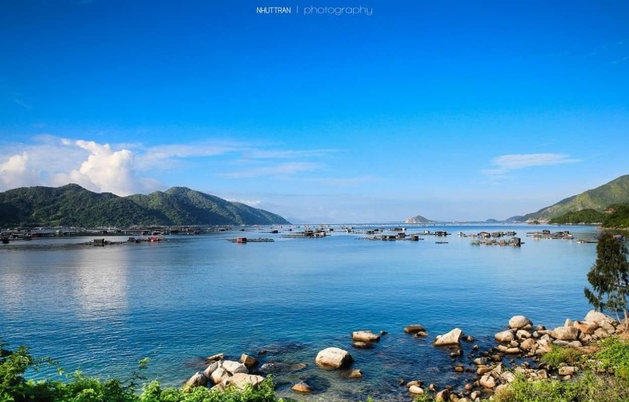 Vịnh Vũng Rô: Làn sóng xanh của xứ Nẫu