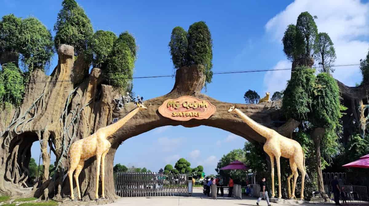 vuon-thu-my-quynh-1-min-1 Sở thú MyQ Safari - thanh xuân của các bạn trẻ