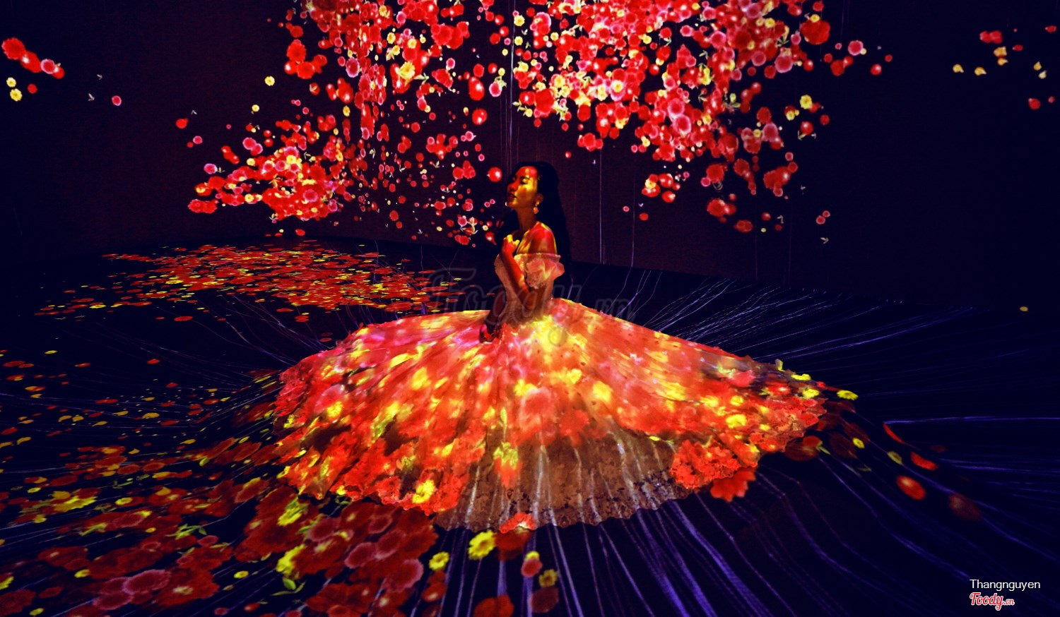 vuonanhsang_jpg5 khu vườn ánh sáng lumiere