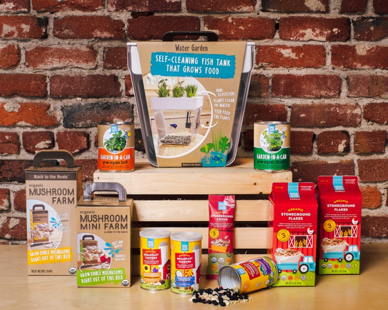 y-tuong-kinh-doanh-la3 Khu vườn trong chai - ý tưởng kinh doanh mới lạ đầy thú vị