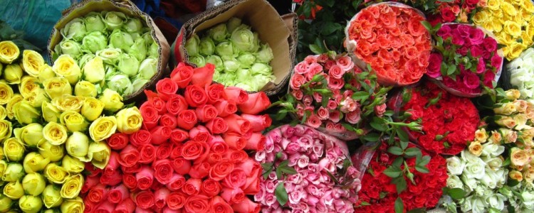 y-tuong-kinh-doanh-ngay-8-3 kinh doanh ngày 8-3 với ý tưởng bán hoa