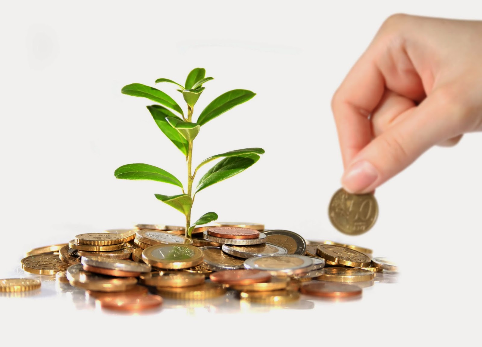 y-tuong-kinh-doanh-online-it-vo-1 kinh-doanh-online