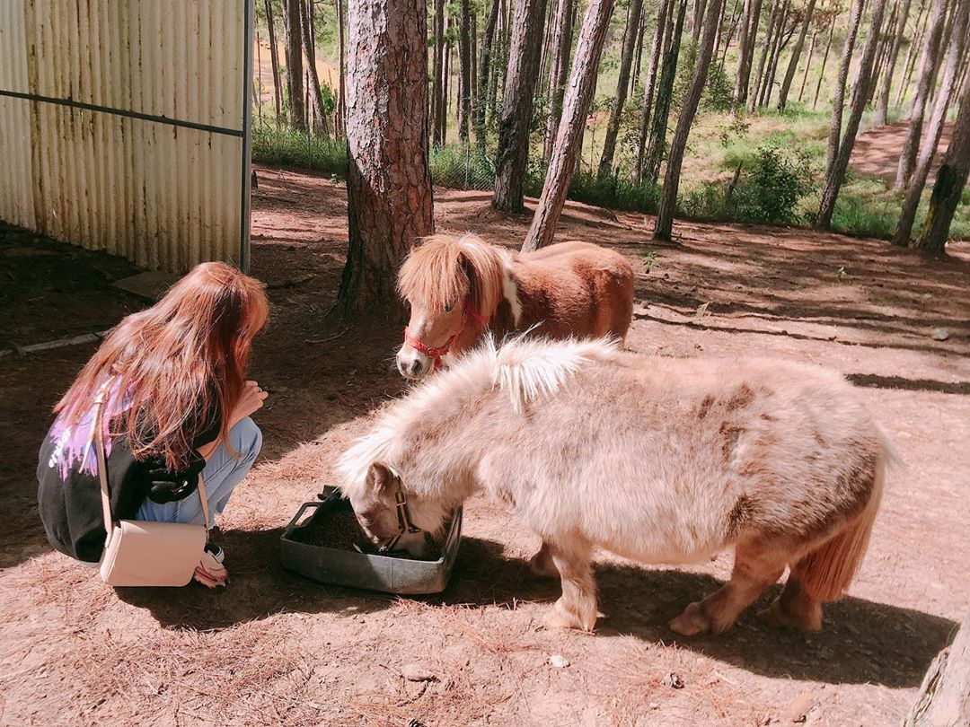 zoodoo_jpg4 tour sở thú zoodoo đà lạt