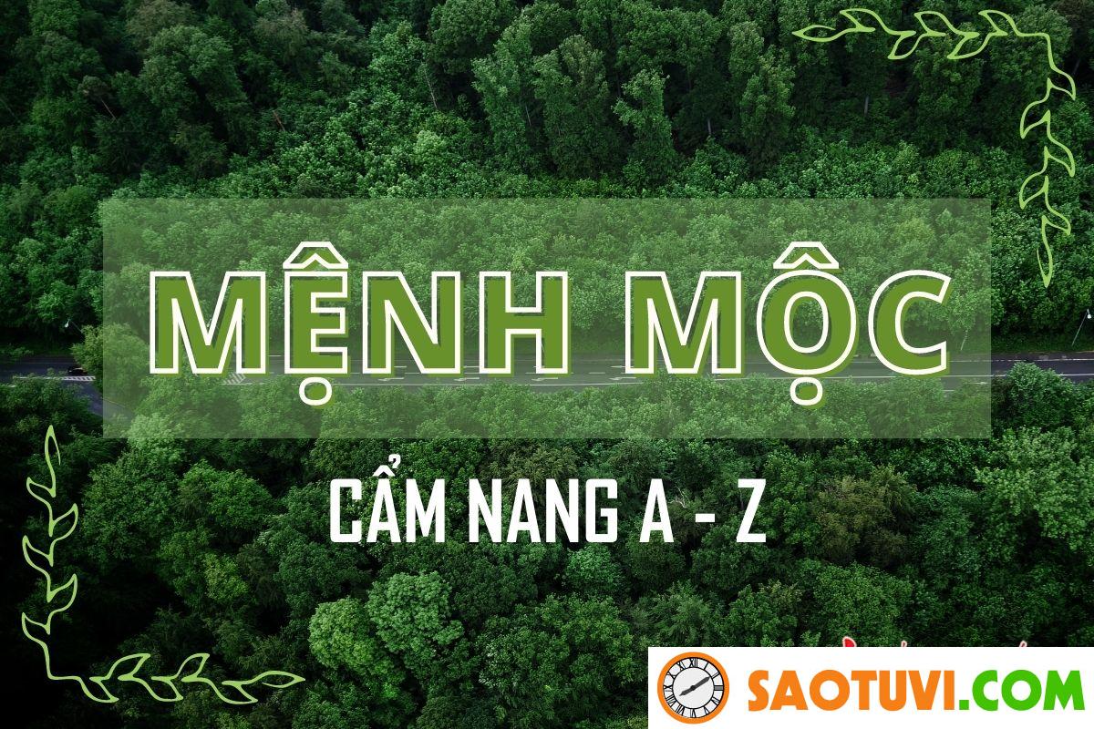 Cây mọc hoang “đổi vận” thành cây cảnh ưu ái, đặt một chậu ở phòng khách vừa trấn trạch vừa gọi lộc