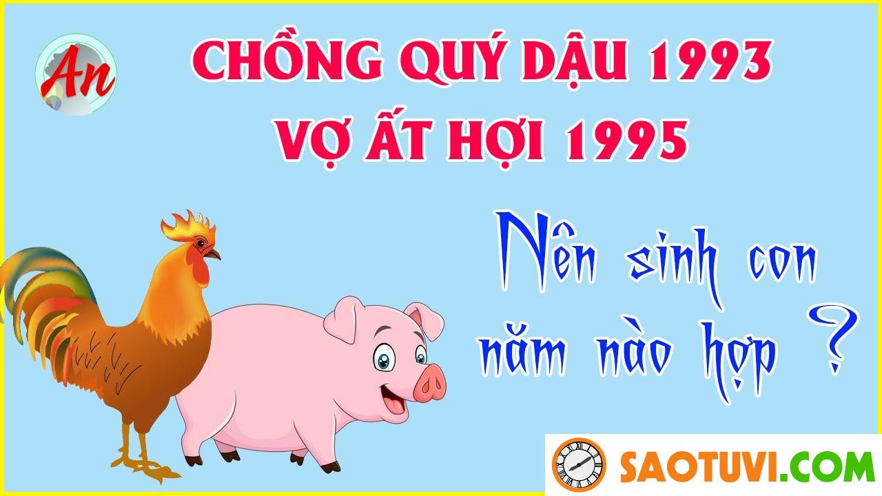 Chồng Ất Hợi 1995 vợ Quý Dậu 1993 sinh con năm nào tốt?