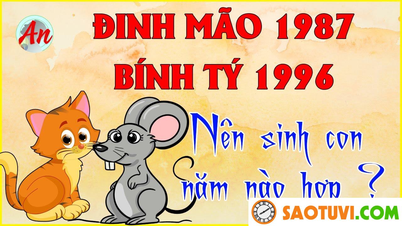 Chồng Đinh Mão 1987 vợ Bính Tý 1996 sinh con năm nào tốt?