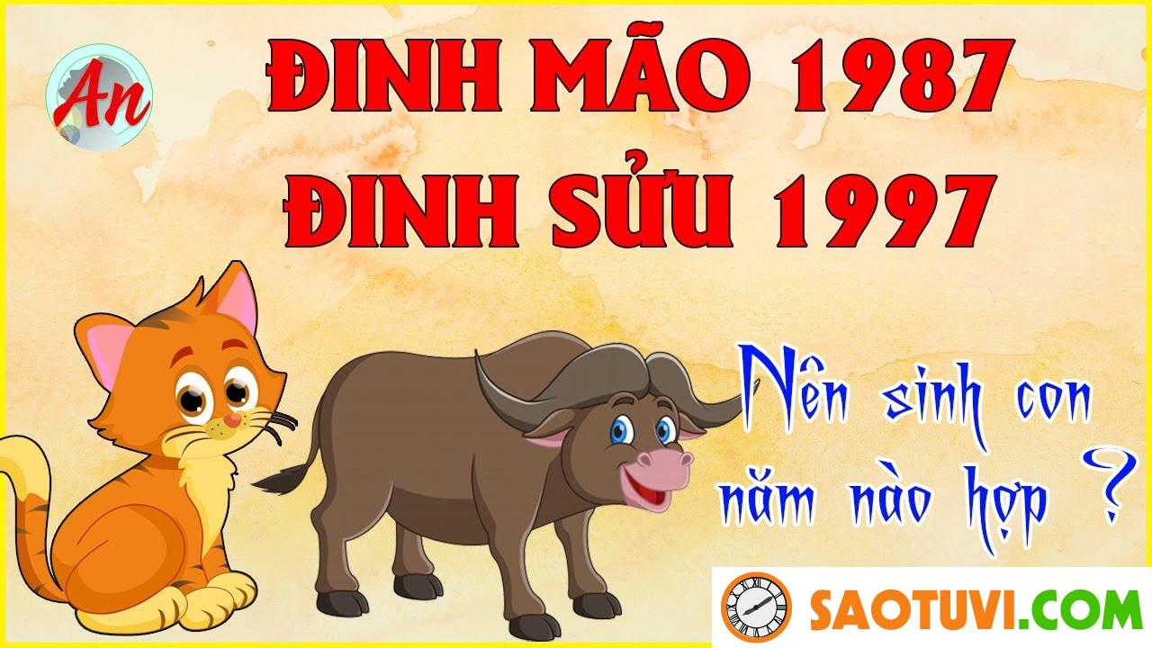 Chồng Đinh Mão 1987 vợ Đinh Sửu 1997 sinh con năm nào tốt?