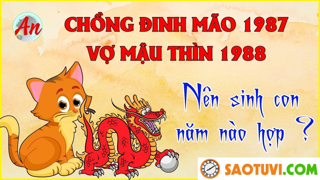 Chồng Đinh Mão 1987 vợ Mậu Thìn 1988 sinh con năm nào tốt?