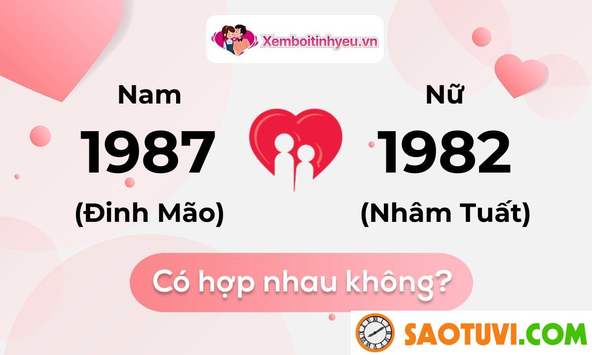 Chồng Đinh Mão 1987 vợ Nhâm Tuất 1982 sinh con năm nào tốt?