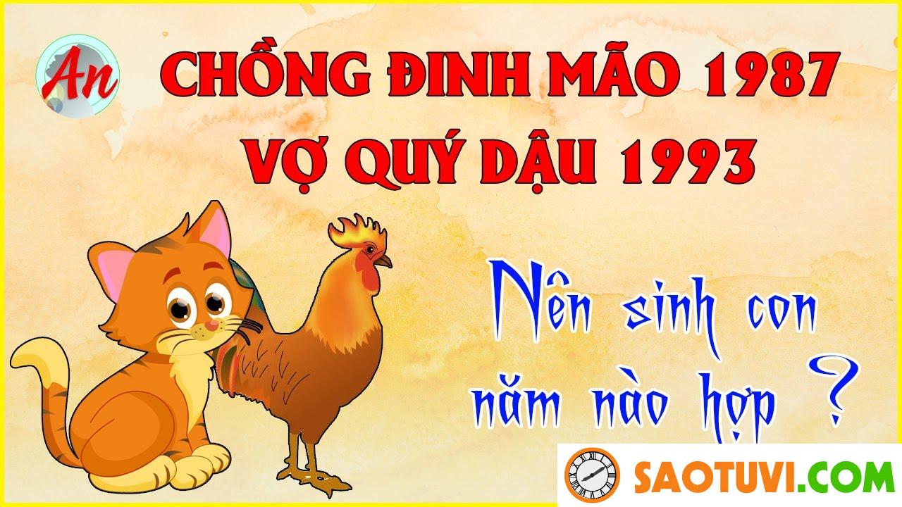Chồng Đinh Mão 1987 vợ Quý Dậu 1993 sinh con năm nào tốt?