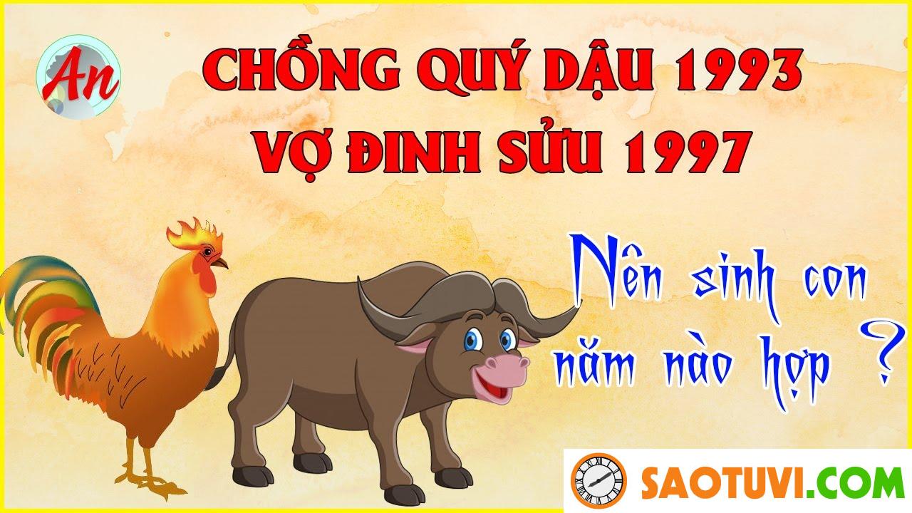 Chồng Đinh Sửu 1997 vợ Quý Dậu 1993 sinh con năm nào tốt?