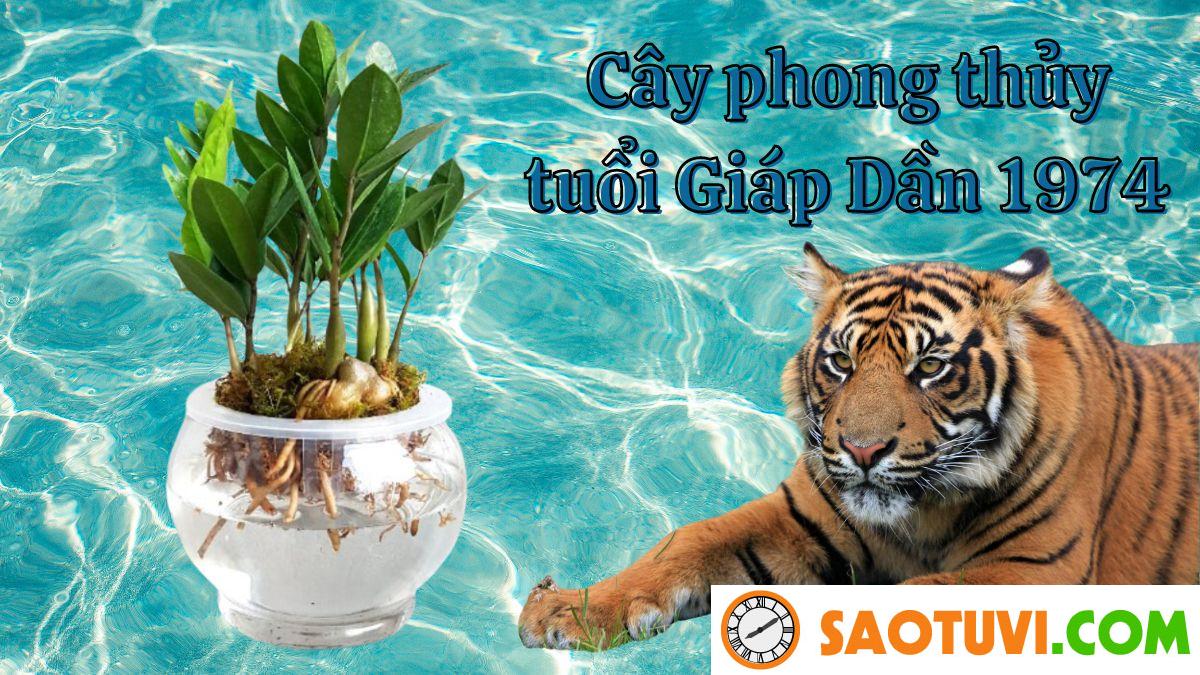 Chồng Giáp Dần 1974 vợ Ất Mão 1975 sinh con năm nào tốt?