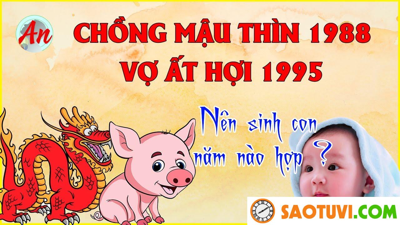 Chồng Mậu Thìn 1988 vợ Ất Hợi 1995 sinh con năm nào tốt?