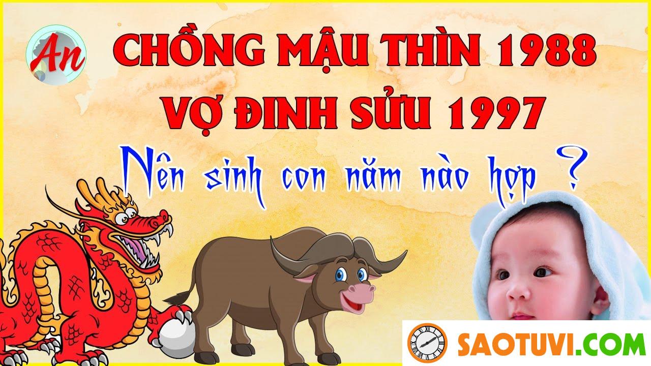 Chồng Mậu Thìn 1988 vợ Đinh Sửu 1997 sinh con năm nào tốt?