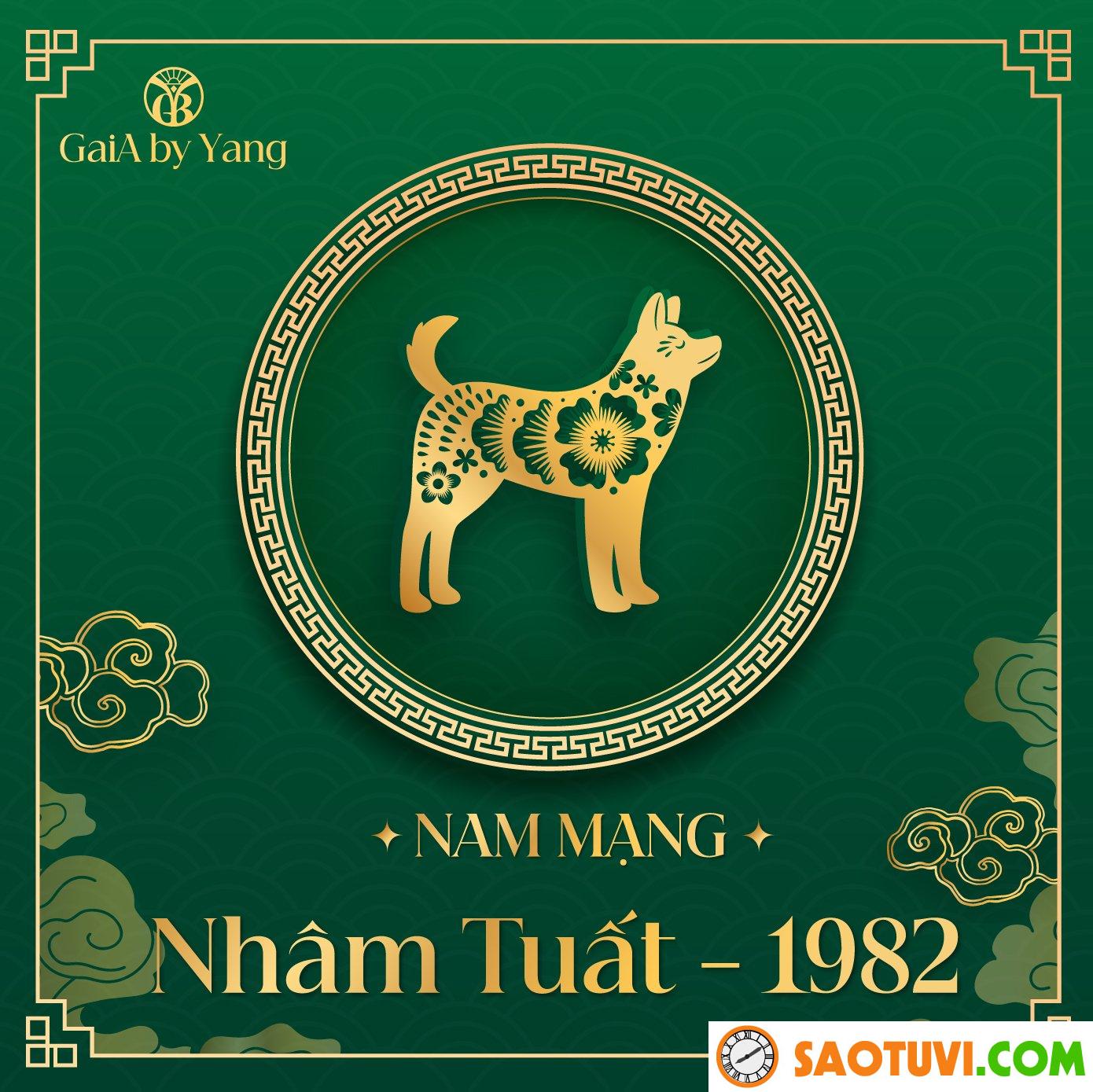 Chồng Nhâm Tuất 1982 vợ Đinh Tỵ 1977 sinh con năm nào tốt?