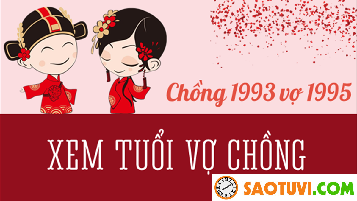 Chồng Quý Dậu 1993 vợ Ất Hợi 1995 sinh con năm nào tốt?