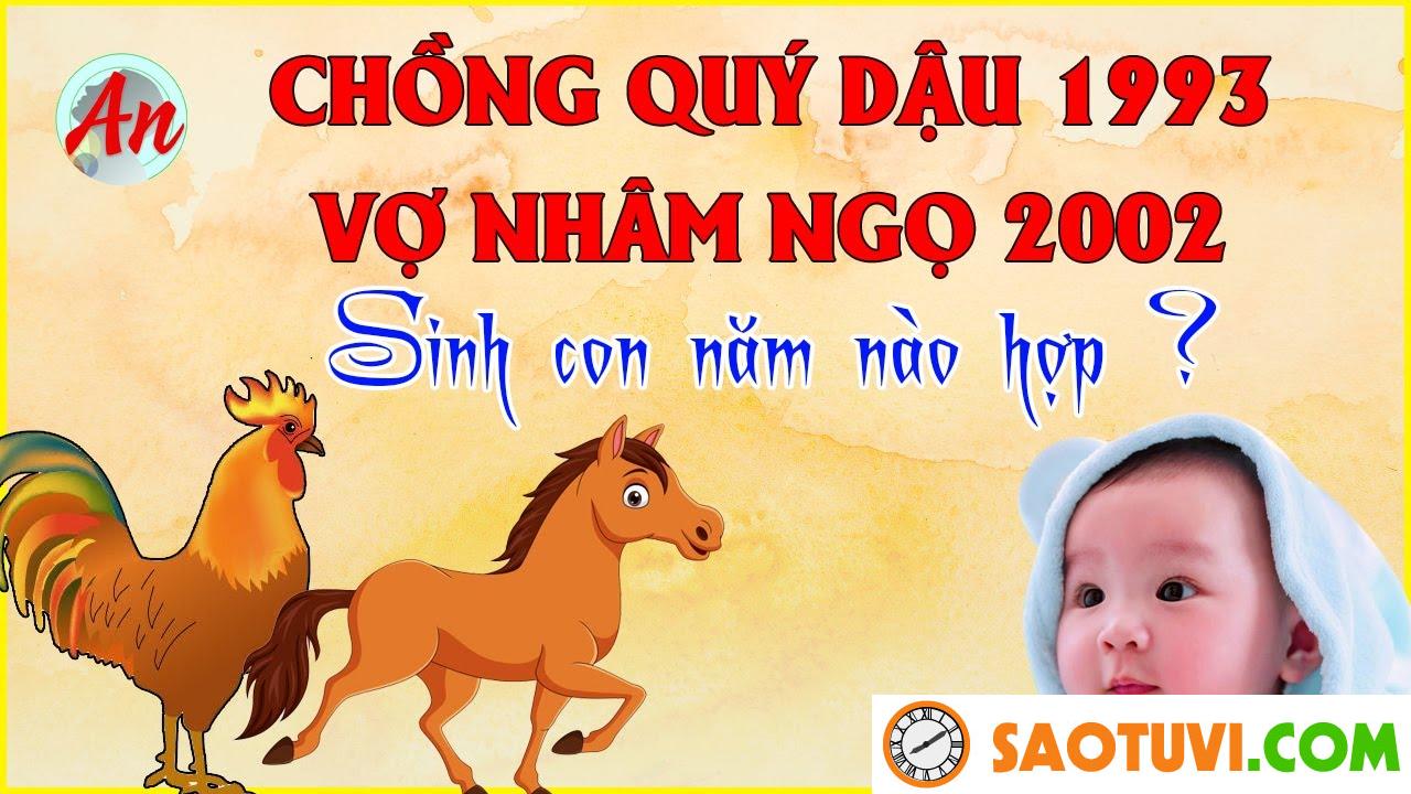Chồng Quý Dậu 1993 vợ Nhâm Ngọ 2002 sinh con năm nào tốt?