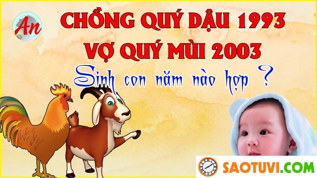 Chồng Quý Dậu 1993 vợ Quý Dậu 1993 sinh con năm nào tốt?
