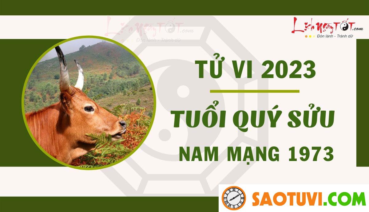 Chồng Quý Sửu 1973 vợ Đinh Tỵ 1977 sinh con năm nào tốt?