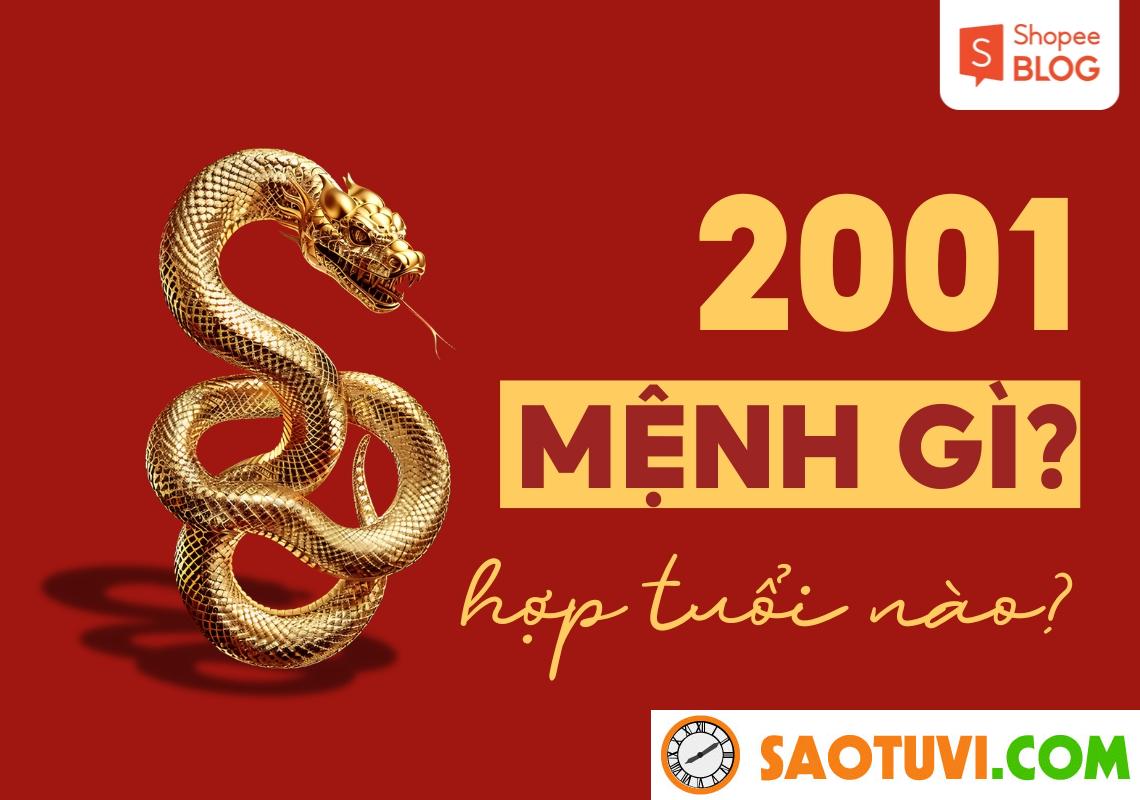 Nam sinh năm 2001 hợp với tuổi nào nhất