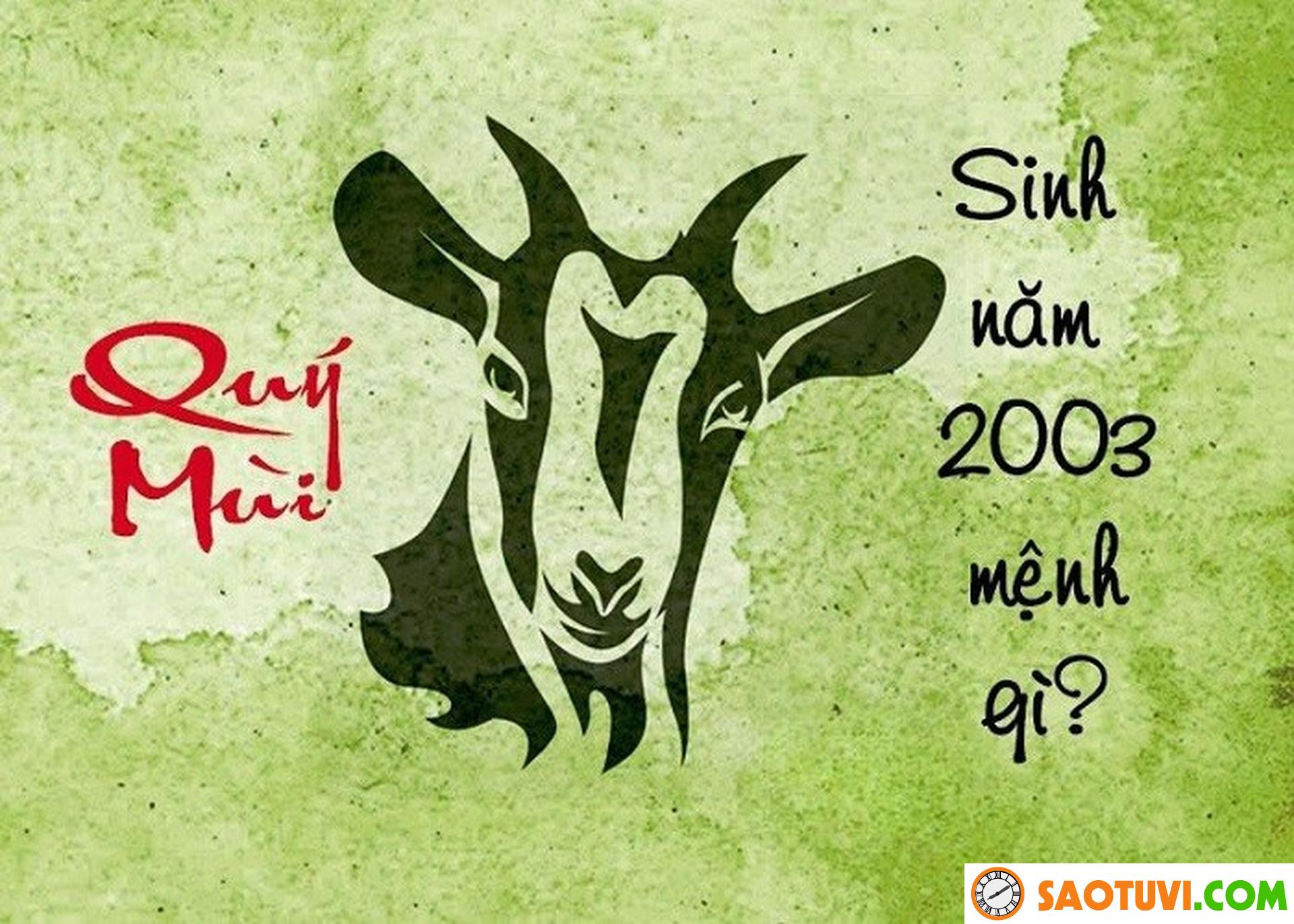 Nam sinh năm 2003 hợp với tuổi nào nhất