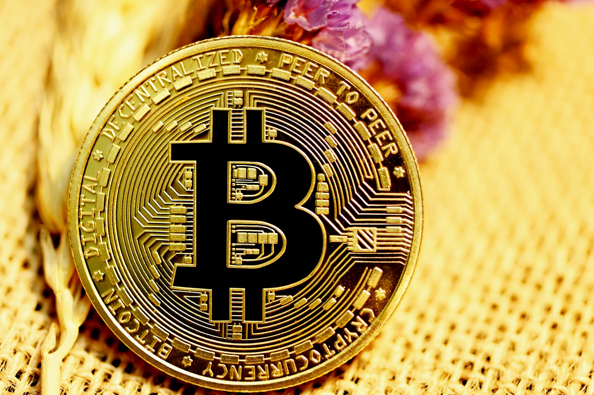 photo-1621416894569-0f39ed31d247-1 Ví Bitcoin