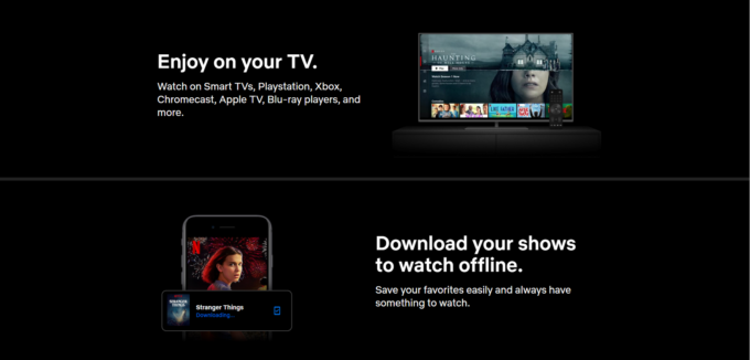 Netflix Clone với ReactJS, Styled Components và Firebase (Firestore & Auth) – Phần 2